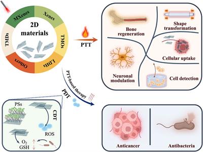 Recent advances in 2D material-based phototherapy